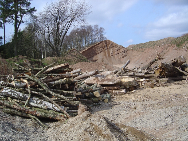 31st March 2007 060